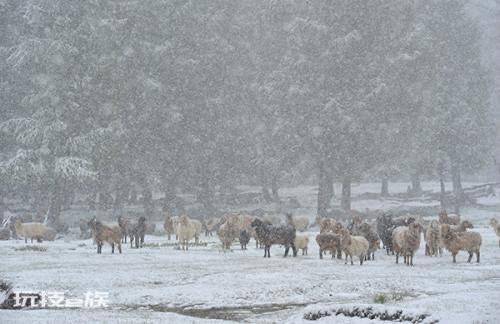 夏天下雪意味着什么现象(六月飞雪异常天气预示了什么)-图片3